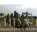Элитный памятник №64 — ritualum.ru